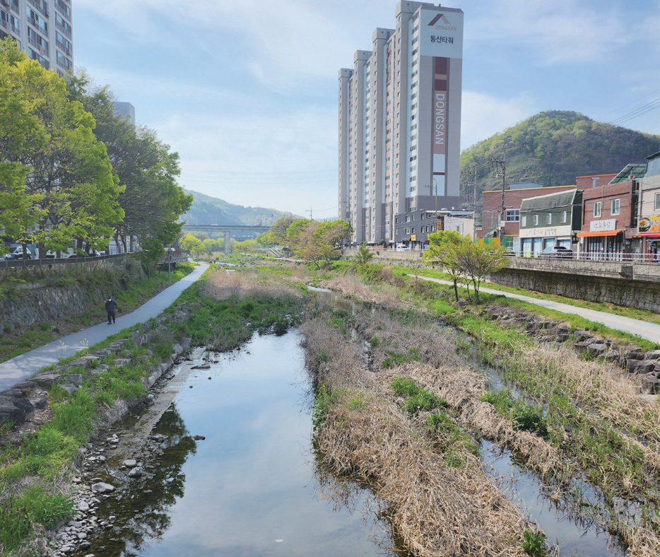 영산강을 질소 오염으로부터 자유롭게 하리라